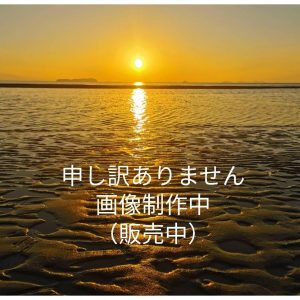 comoza カラー プレミアム レターセット 封筒 メッセージカード セット 手紙 (マルチカラー)