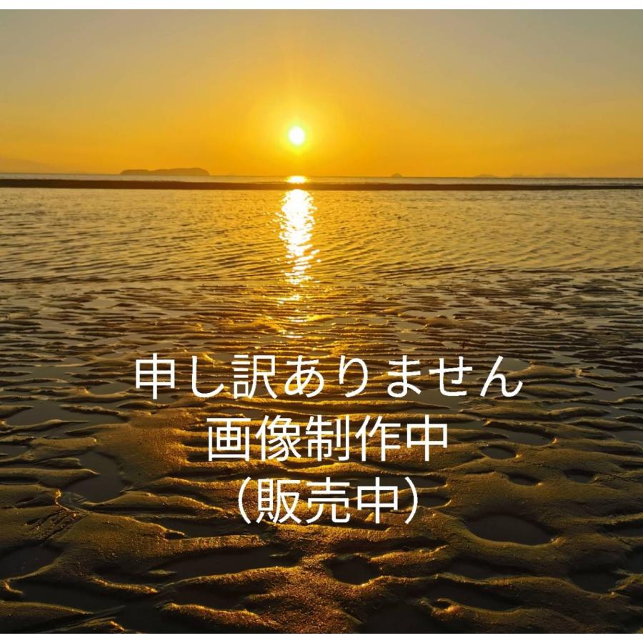 comoza カラー プレミアム レターセット 封筒 メッセージカード セット 手紙 (マルチカラー)