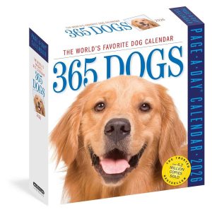 【2026年度版カレンダー】【予約注文：2025年12月前半までに発送予定】365 DOGS PAGE-A-DAY CALENDAR 2026　犬　日めくりカレンダー【言語：英語】